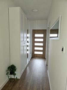 加蓬津Apartman Pojine的相册照片