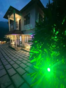 a house with green lights in front of it at NATURE FAMILY HOMESTAY in Munnar