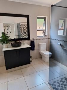 ein Badezimmer mit einem Waschbecken, einem WC und einem Spiegel in der Unterkunft Nature view in Tzaneen