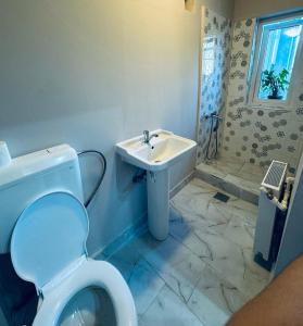 ein Bad mit einem WC und einem Waschbecken in der Unterkunft Serbian House in Timişoara