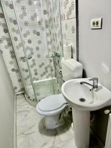 y baño con aseo, lavabo y ducha. en Serbian House, en Timisoara