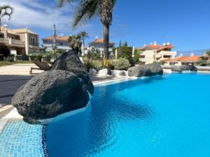 - une piscine avec un rocher dans l'eau dans l'établissement Hermosa vista, à Puerto de la Cruz
