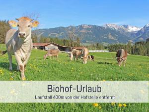 Biohof Burger, 3 sonnige Fewo, alle mit Balkon, Spielzimmer, Grillhütte, 7 km vor Oberstdorf في بلوسترلانج: مجموعة من الأبقار ترعى في حقل به جبال