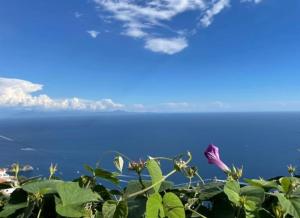 フローレにあるCasa Maria - Furore Amalfi Coastのギャラリーの写真 +21枚の写真