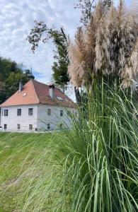 Zahrada ubytování Villa Taborec