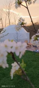 Taman di luar Glamping Beograd