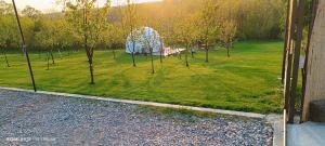 Taman di luar Glamping Beograd