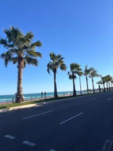 una calle con palmeras en la playa en Grand studio de 30 m2 Promenade des Anglais en Niza