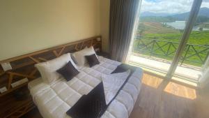 Gallery image of Willostays Emerald Lake Facing villa in Ooty