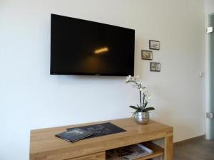 TV a/nebo společenská místnost v ubytování Apartment Deichperle, Am Alten Deich 20 5 + 13 fotografií