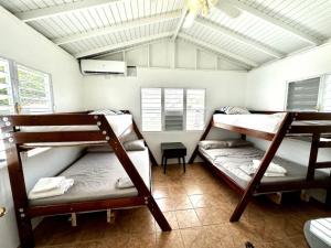 2 beliches num quarto com tecto em Tropical Retreat Apt steps away from Combate Beach em Boquerón