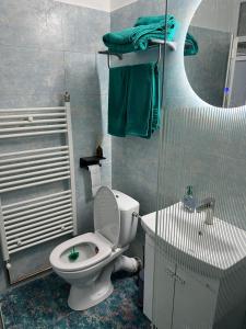 ein Bad mit einem WC und einer Dusche in der Unterkunft Green Apartament in Târgu Jiu