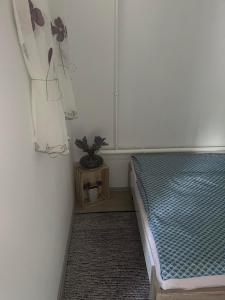 um quarto com uma cama e um vaso de plantas em Kiscsillag Apartman em Gyenesdiás