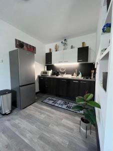 Kuchyň nebo kuchyňský kout v ubytování Kiscsillag Apartman
