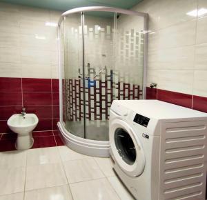 uma máquina de lavar roupa na casa de banho com um chuveiro em Skajla Apartments em Medulin