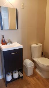 a bathroom with a toilet and a sink and a mirror at Loft o departamento completo #2 in Ciudad Juárez