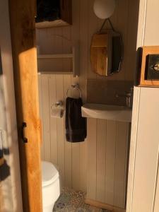 a small bathroom with a toilet and a sink at Shepherd’s Hut with complete privacy in Bottesford