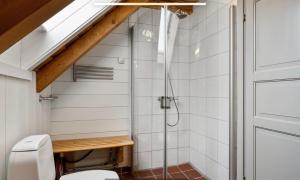 a bathroom with a shower and a toilet at Salteriet in Vinnes +13 photos