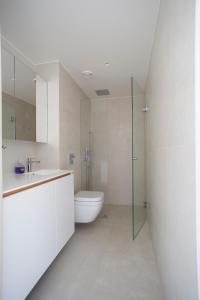 a bathroom with a toilet and a glass shower at 2ndhomes Ullanlinna Penthouse Apartments 2 in Helsinki
