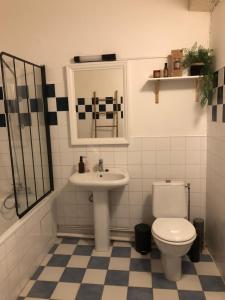 un bagno con un water e un lavandino di Maison St. Clair a Monflanquin Altre 63 foto