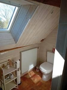a bathroom with a toilet and a skylight at La Treille in Treigny
