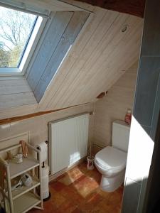 a bathroom with a toilet and a skylight at La Treille in Treigny +44 photos