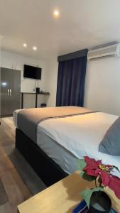 Postel nebo postele na pokoji v ubytování Pasha Hotel - 3* Boutique Hotel