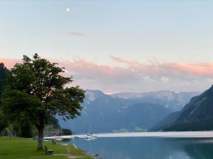 Paesaggio naturale nelle vicinanze dell'appartamento