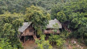 an old house in the middle of a forest at Amuna Ayurvedic Retreat in Sigiriya