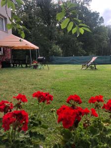 Fotografie z fotogalerie ubytování Słoneczne Wzgórze v destinaci Łagów