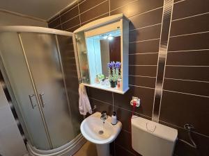 a bathroom with a sink and a toilet and a mirror at Apartment with three Rooms in Prijevor +11 photos
