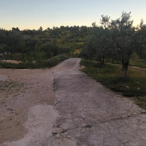 Příroda nedaleko apartmánu