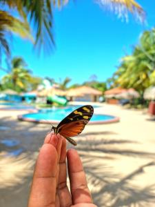 una persona sosteniendo una mariposa sentada en un dedo de persona en Paradise Resort, en Los Santos