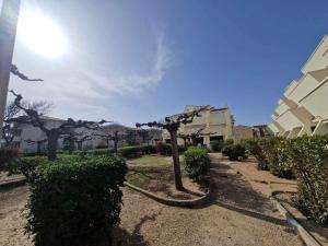 Κήπος έξω από το Confortable 2 pièces, 4 couchages avec balcon et parking privé, proche plage - Marseillan - FR-1-326-596 +2 φωτογραφίες
