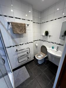 a bathroom with a toilet and a sink at The Castle Apartment, Lots of Character Cosy and Comfortable, Private Garden and FREE Parking in Nottingham