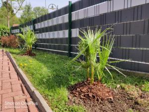 Zahrada ubytování Ferienwohnung Grete, an der Weinstraße