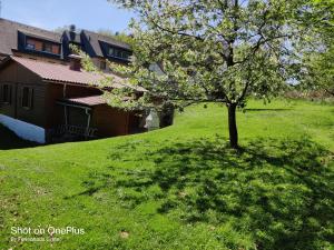 Zahrada ubytování Ferienwohnung Grete, an der Weinstraße