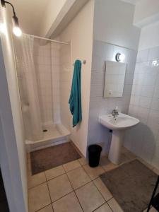 uma casa de banho com um lavatório, um chuveiro e um WC. em Appartement avec terrasse Classé em Port-la-Nouvelle