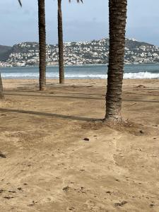 un grupo de palmeras en una playa de arena en Ático cerca de la playa con piscina - Roses, en Roses