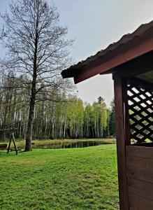 a view of a park with a tree and a pond at Agroturystyka u Doroty in Rajgród