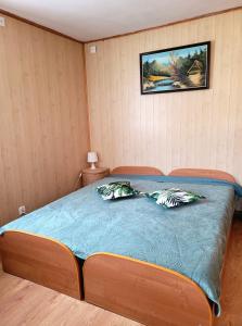 a bed with two pillows on it in a room at Agroturystyka u Doroty in Rajgród