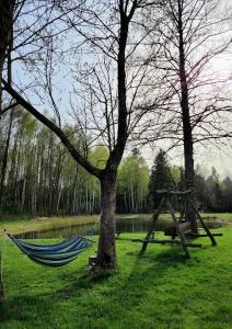 a hammock tied to a tree next to a lake at Agroturystyka u Doroty in Rajgród