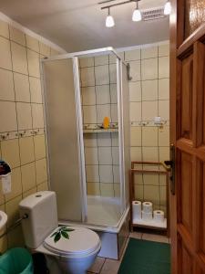 a bathroom with a shower and a toilet in it at Agroturystyka u Doroty in Rajgród