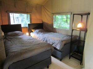 um pequeno quarto com 2 camas e uma janela em Luxe safaritent op Landgoed de Leijen em Hensbroek