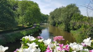 a river with pink and white flowers in the foreground at B&B Krieken de Jour in Ninove