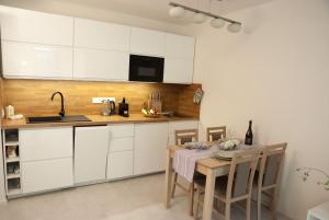 Kuchyň nebo kuchyňský kout v ubytování Apartmán víla Amálka