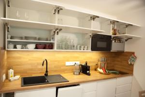 Kuchyň nebo kuchyňský kout v ubytování Apartmán víla Amálka