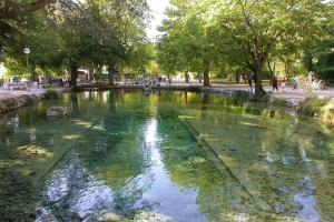 a pool of water with algae in a park at Appartement 2 chambres avec terrasse & parking gratuit Centre Malaucène, Mont Ventoux in Malaucène