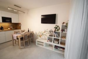 Kuchyň nebo kuchyňský kout v ubytování Apartmán víla Amálka