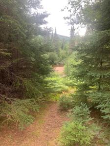a dirt road in the middle of a forest at Natura Versailles SPA et plage privée in Saint Come